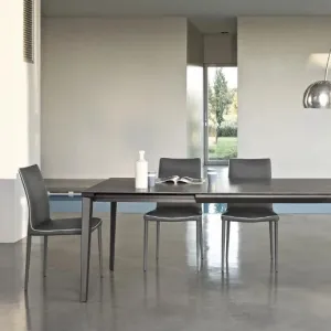 Echo Extendable 120